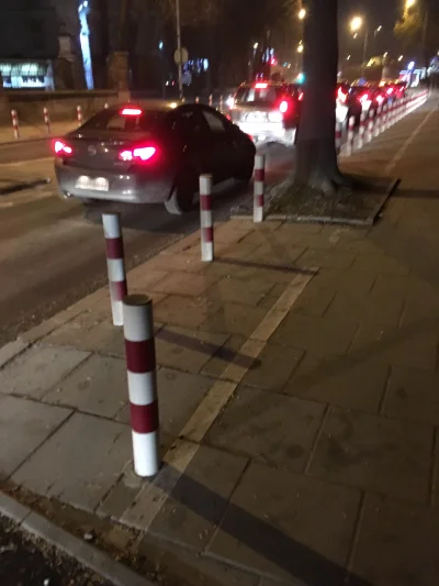 messi456 - Dobrze, że dali tu aż 4 słupki, jeszcze by ktoś zaparkował 

#krakow #ziki...
