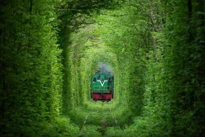 Lookazz - Tunel miłości (ukr. Туне́ль Коха́ння) – odcinek linii kolejowej położony ni...