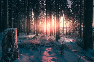 Elthiryel - Zimowy zachód słońca w masywie górskim Odenwald, w Niemczech

źródło

...
