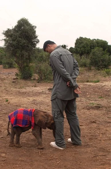 Blackman - Yao Ming z dorosłym słoniem...
#fotografia #zwierzeta #ciekawostki