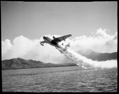 CanisLupusLupus - #aircraftboners #pbm foto: Horace Bristol