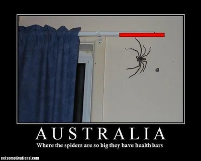 Mr--A-Veed - @IroL: Można np. rozgniatać kapciem pająki i patrzeć, jak im paski życia...