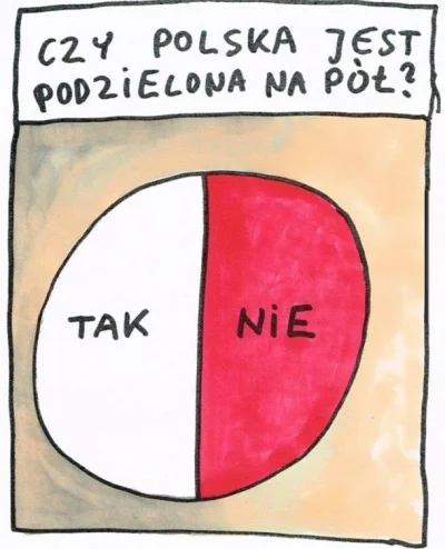 4pietrowydrapaczchmur - Czy Polska jest podzielona na pół?
#humorobrazkowy #humor #h...