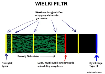 mateusz-adamantowy - Proszę, tutaj wyjaśnienie jak działa wielki filtr.