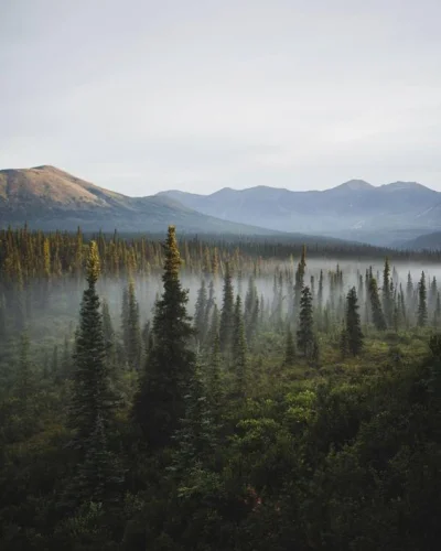 Talluviel - #widoczki #azylboners #earthporn #fotografia #natura