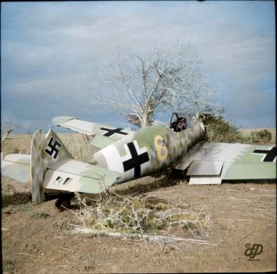 Mleko_O - #iiwojnaswiatowawkolorze

Niemiecki Bf-109G, zestrzelony nad Anzio, 25 st...
