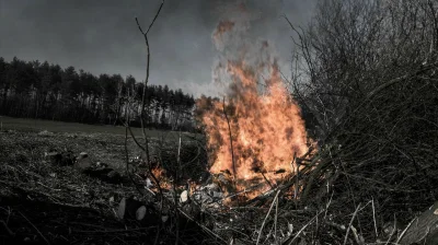 ElCidX - Mirki co tam dzisiaj robiliście?

Bo ja jarałem!

Sadzić, Palić!

#oswiadcze...