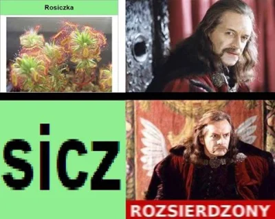 mikii77 - Szukam czwartego obrazka "rozsierdzony". Podrzuci ktoś? ( ͡° ͜ʖ ͡°)
#gownow...