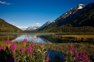 tomyclik - #earthporn #fotografia 
Alaska