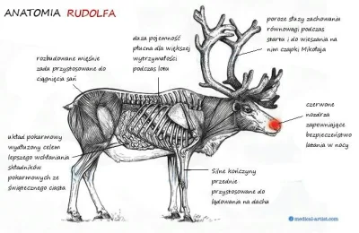 Unicorne - Wesołych Mireczki! :D



#weterynaria #anatomia #smiesznypiesek #heheszki ...