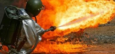 alibaba848 - @crab_nebula: