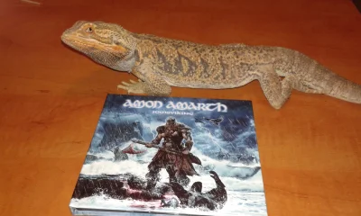 GraveDigger - Zajebisty kawałek ze świeżutkiego albumu Amon Amarth. Kupiłem sobie ory...