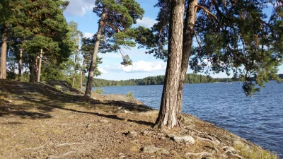kolikatewiczownik - #natura #las #jezioro #drzewo #spacer #woda #trawa