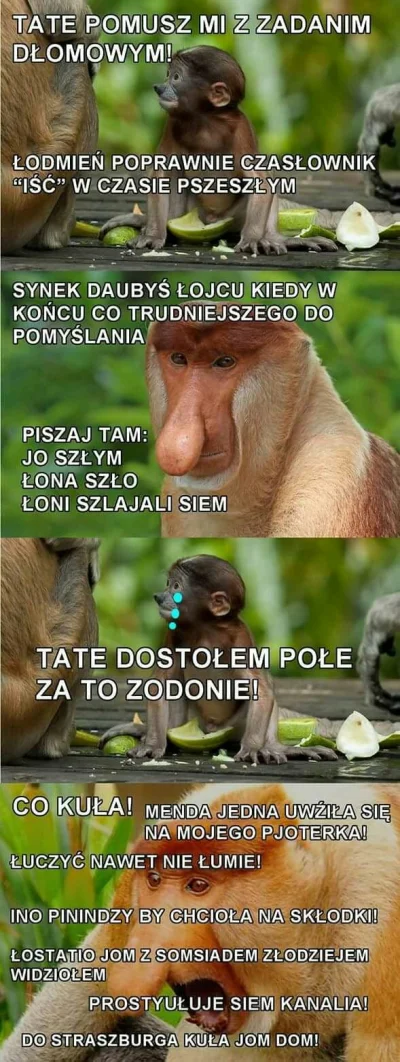xtomek99 - #heheszki #humorobrazkowy #humor #polak #nosaczsundajski #malpapolak #smie...