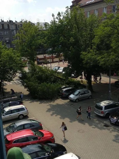 CrazyxDriver - Na kampusie #uek w #krakow spadło drzewo na samochody. Powód oficjalny...