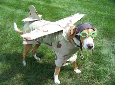 s.....n - @cocolino_: tak, to był pierwszy latający pies ( ͡° ͜ʖ ͡°)