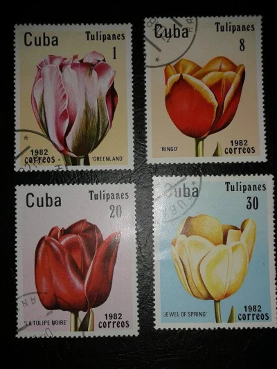 S.....r - Tulipany z Kuby 1982r.

#znaczki #filatelistyka #tulipany #kwiaty