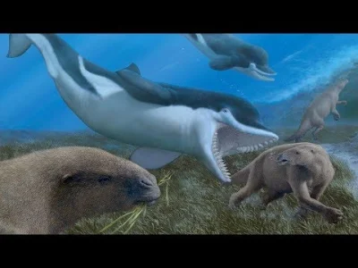 Trajforce - When Whales Ate Sloths

#paleontologia #ewolucja #gruparatowaniapoziomu...