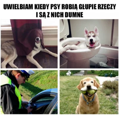 LuminouShadow - Popełniłem meme.
#heheszki #memy #humorobrazkowy