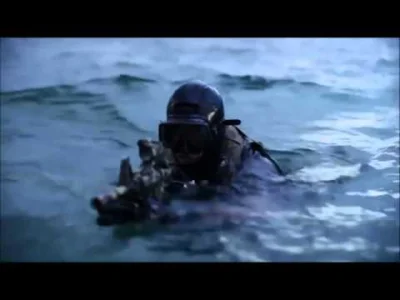 echelon_ - Przyjemna kompilacja akcji z filmów i treningów Foczek.

#militaria #sea...