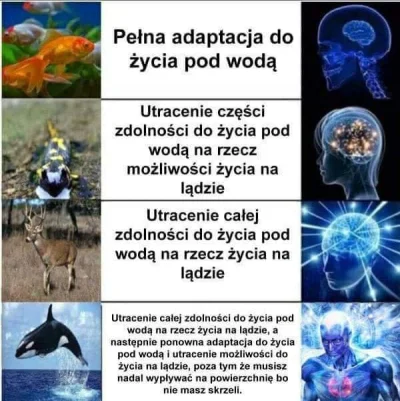 S.....x - Jeden z moich ulubionych, biologicznych memów ( ͡° ͜ʖ ͡°) 
#heheszki #humor...