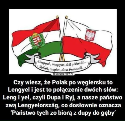 A.....n - #grupawyszehradzka #polska #neuropa #4konserwy