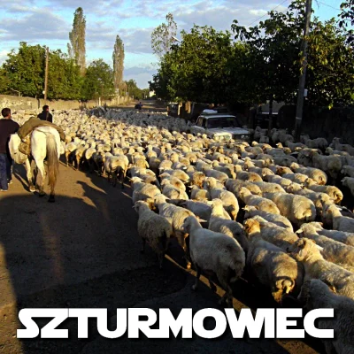 r.....s - #szturm #owce 
#starwars #humorobrazkowy #suchar #heheszki
@powaznyczlowi...