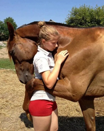 nobody_here - ten uczuć kiedy to koń ma dziewczyne a ty nie ( ͡° ʖ̯ ͡°) #tfwnogf