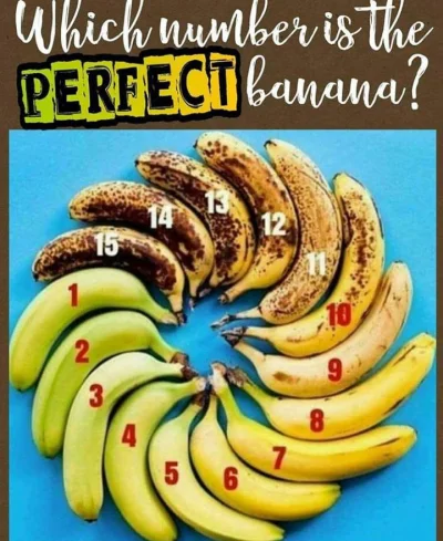 kjeller - wybierzcie mądrze
#mikrokoksy #bieganie #banan #jedzenie #jedzzwykopem #an...
