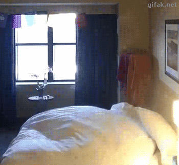 TheWujo - @alibi_m: a ja bym chcial tak rano do pracy wstawac