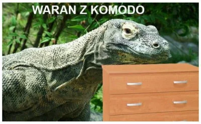 jstefan - @Aplasidon tutaj już prawilnie. Z komodo