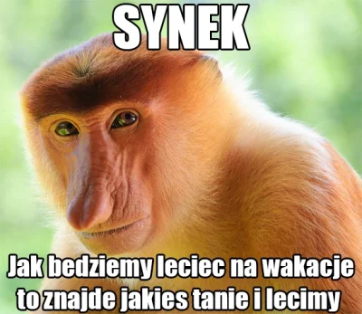 P.....u - ! #wakacje #podrozujzwykopem #zagranico #polak #heheszki #humorobrazkowy