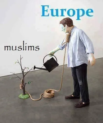 Miecio99 - #islam #europa #imigranci