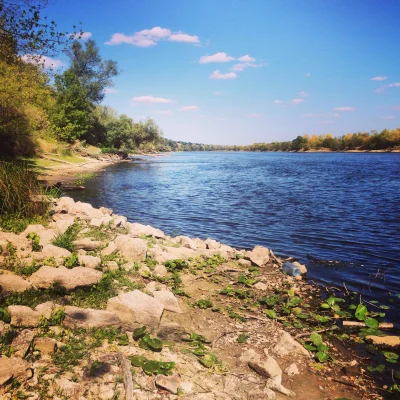 SScherzo - dzisiejsze zdjęcie z rzeki Narew. susza wyjątkowo odsłoniła brzegi, zwykle...