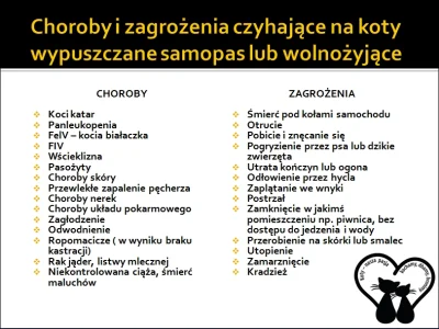 nicari - @jamtojest: kot się nie może mścić i karać, bo jego procesy poznawcze i emoc...