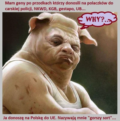 W.....k - @reddml: Pluj świni w twarz to świnia powie, że deszcz pada...