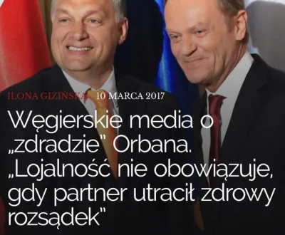 pk347 - Węgierskie media: "Lojalnośc nie obowiązuje gdy partner utracił zdrowy rozsąd...