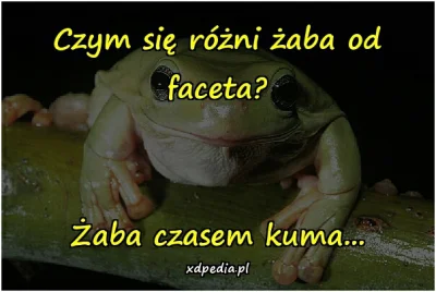 Cerini - #humorobrazkowy #bekazfeministek 
#xdpedia #rakcontent #rakinstant