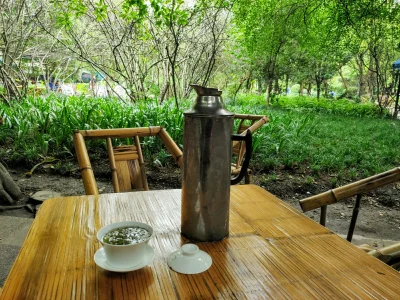 kotbehemoth - Pozdrowienia z Parku Ludowego w Chengdu. Dużo zieleni, a do tego zielon...