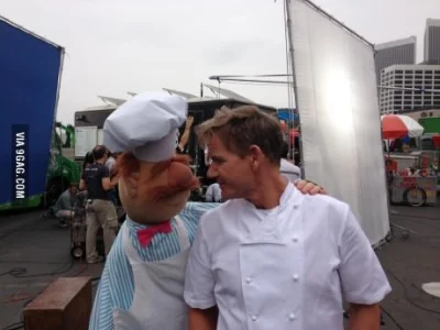 filiprock - #humorobrazkowy #gordonfuckingramsay #muppets