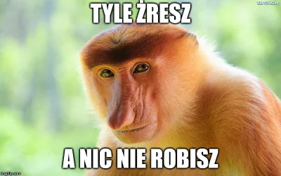 sing - A już myślałem, że nic nowego w tym formacie nie wymyślę ( ͡° ͜ʖ ͡°)

#polak...