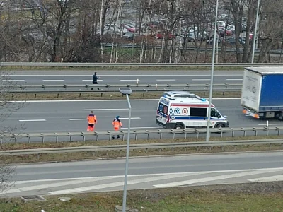 Magnus14 - Mirki, ale beka. Koleś idzie pieszo pod prąd lewym pasem na autostradzie A...