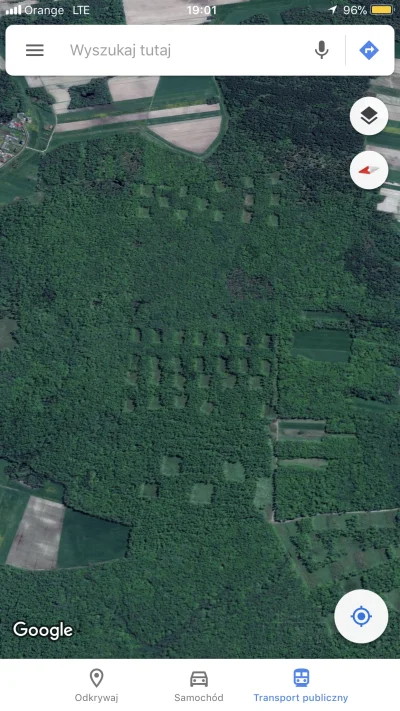 HariPota - Czym są te puste kwadraty w lesie? #kiciochpyta #lesnictwo