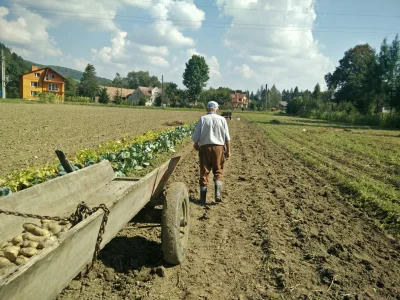 qjot - Nie ma to jak wykop z dziadkami. 
#pokazdziadka #taksiezyjenatejwsi