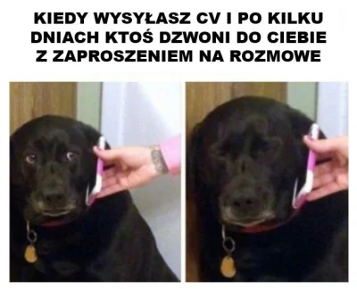 piaskun87 - Chcesz odejść z tego bagna, ale jednocześnie nie chcesz iść na rozmowę o ...