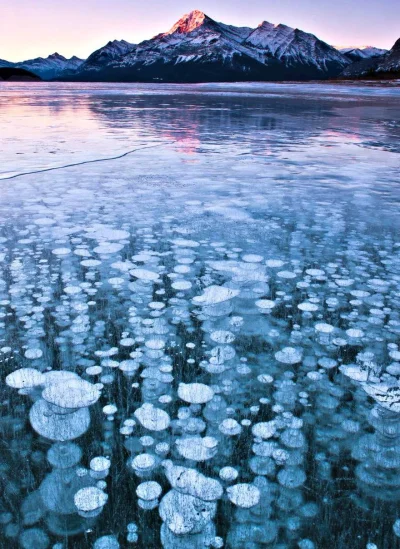 D.....k - Abraham Lake, Kanada

#earthporn