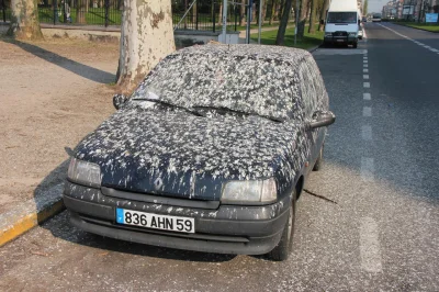 a.....j - lepiej tam samochodu nie parkować. 
a tak w ogóle to sobie myślę, że tam w...