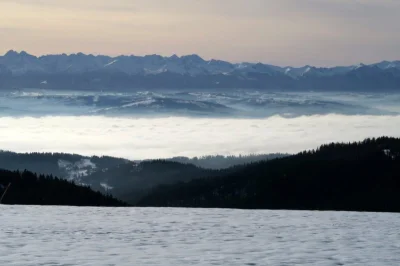 Napleton - Widok z Turbacza na Tatry. 
Aktualna sytuacja w Gorcach i więcej zdjęć po...