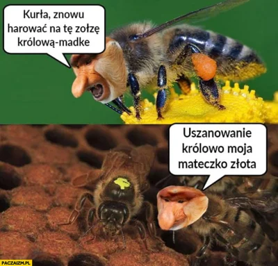 MaTTiQ - #heheszki #humorobrazkowy #dzienjakcodzien #byloaledobre