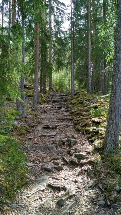 Recydywa - Kto idzie ze mną? 
#gory #mojezdjecie #podroze #trekking #norwegia